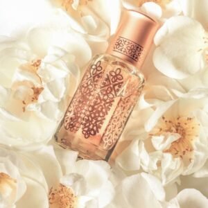 Fusion Oud